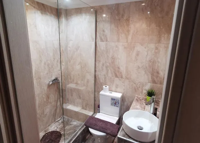 Purple_rose_apartment Case de vacanță